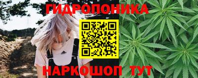 ECSTASY Можга