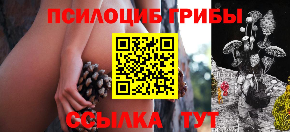 Галлюциногенные грибы мицелий Троицк