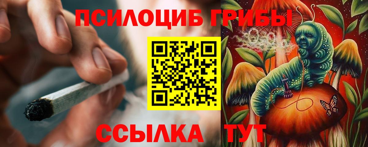 Галлюциногенные грибы прущие грибы  Вход с VPN  Троицк 